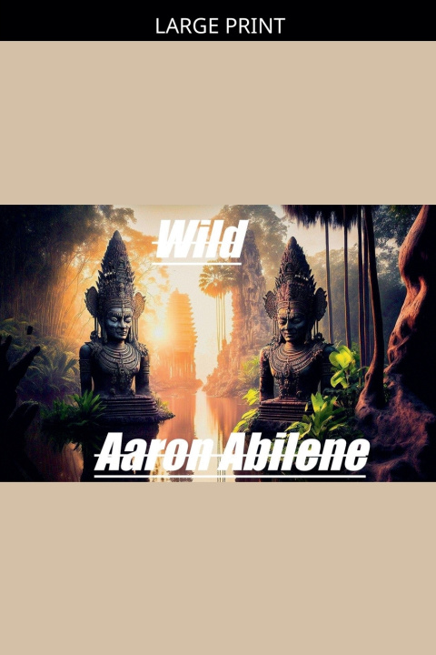 Kniha Wild Aaron Abilene