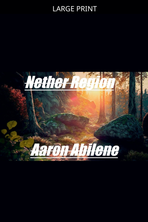 Kniha Nether Region Aaron Abilene