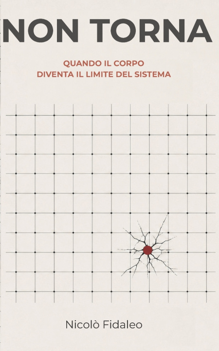 Kniha Non Torna Nicolò Fidaleo