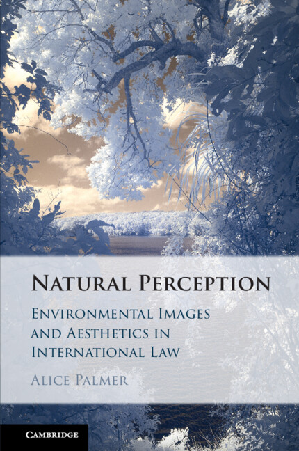 Knjiga Natural Perception Alice Palmer