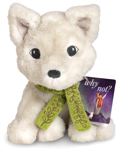 Knjiga Why Not Plush COMPENDIUM