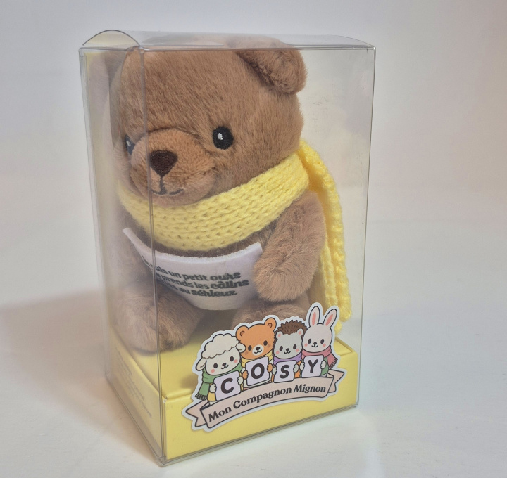 Boek Peluche cosy ours 