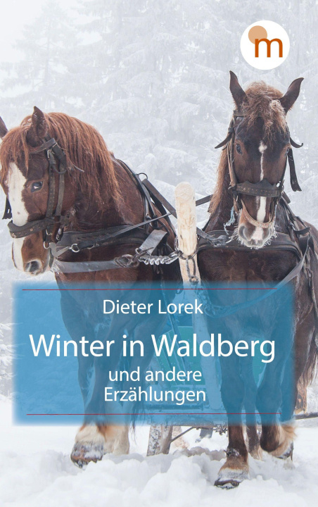 Kniha Winter in Waldberg 