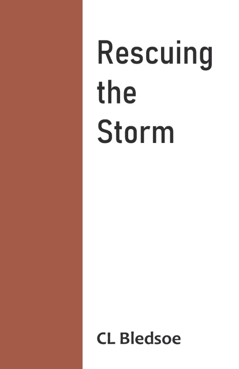 Kniha Rescuing the Storm CL Bledsoe