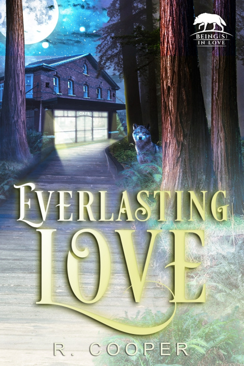 Kniha Everlasting Love R. Cooper