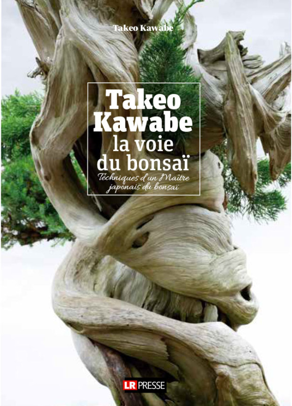 Kniha Takeo Kawabe, la voie du bonsaï Kawabe