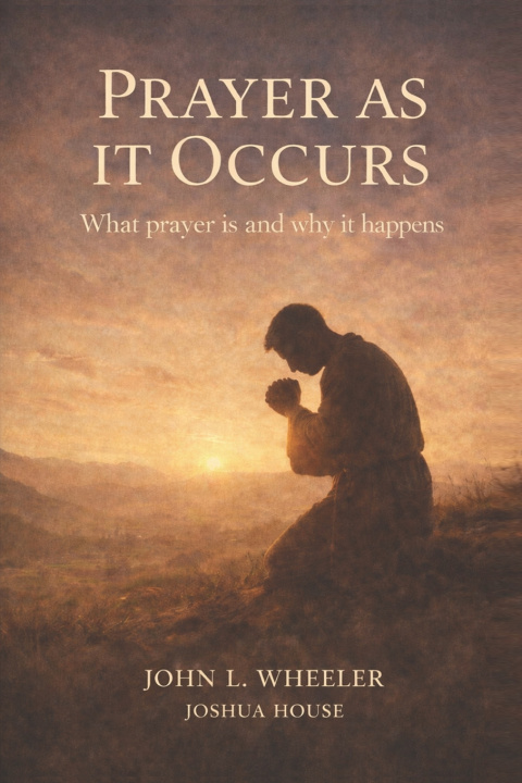 Kniha Prayer as it Occurs John L Wheeler