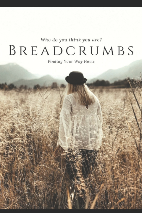 Kniha Breadcrumbs Wanda Taylor