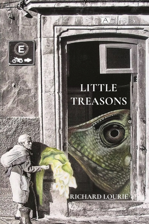 Kniha Little Treasons Richard Lourie