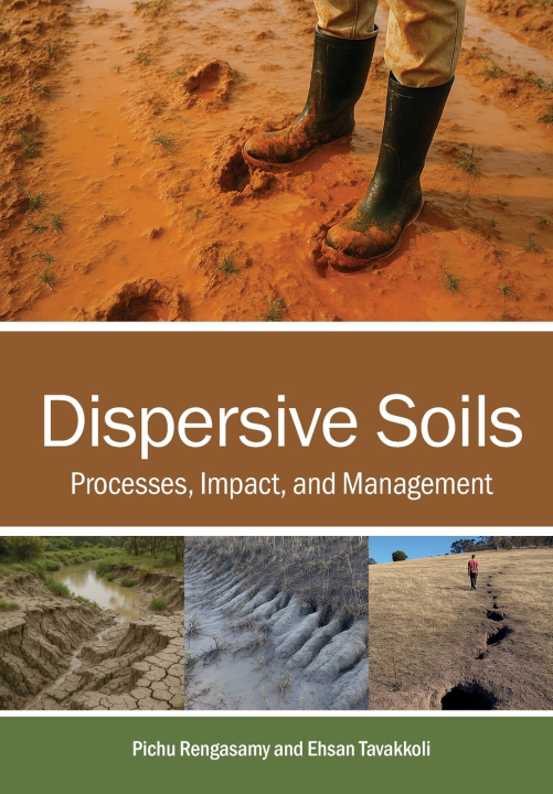Kniha Dispersive Soils Pichu Rengasamy