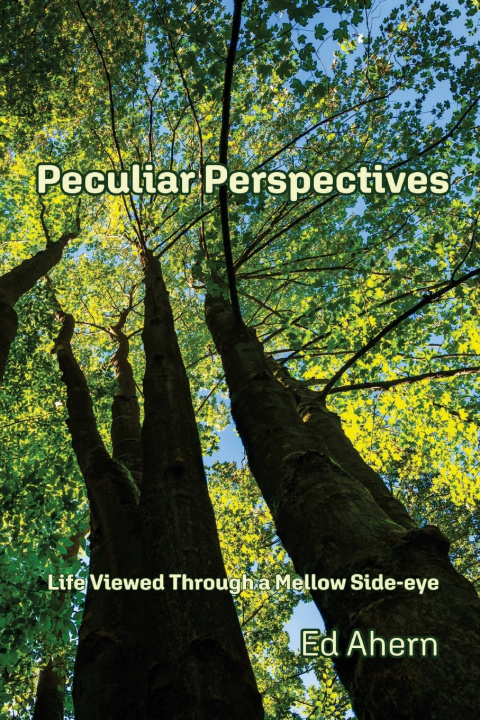 Kniha Peculiar Perspectives Ed Ahern