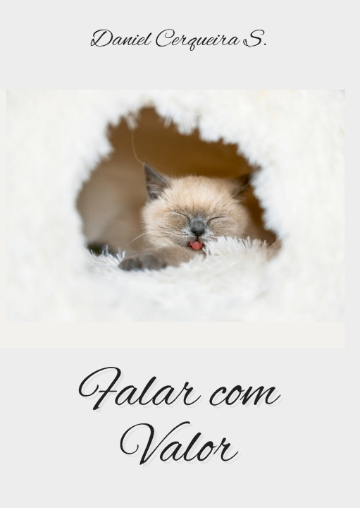 Kniha Falar com Valor Daniel Cerqueira S.