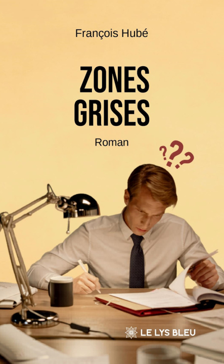 Kniha Zones grises François Hubé