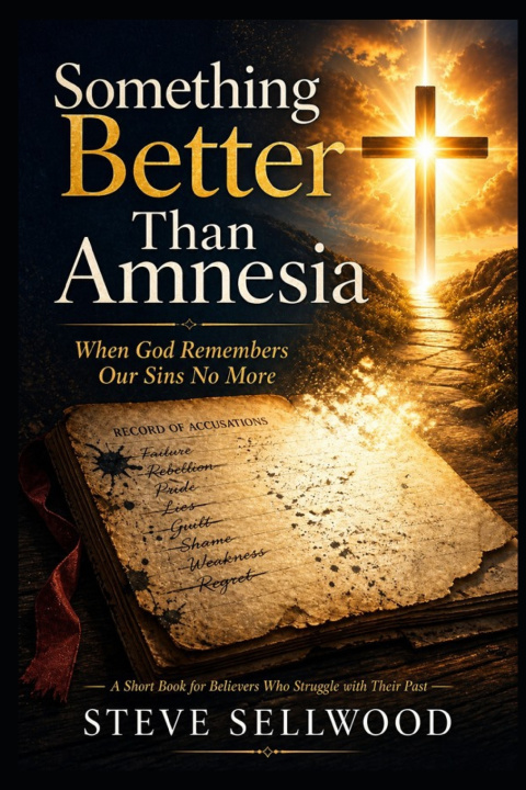 Kniha Something Better Than Amnesia Steve Sellwood