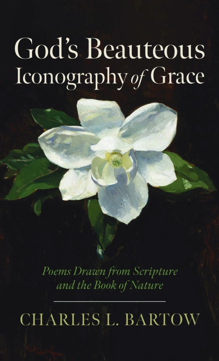 Kniha God's Beauteous Iconography of Grace Charles L. Bartow