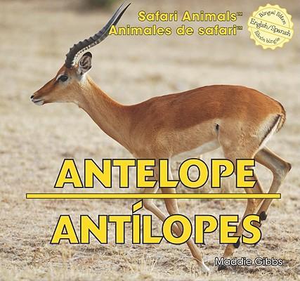 Boek Antelope/Antilopes Maddie Gibbs