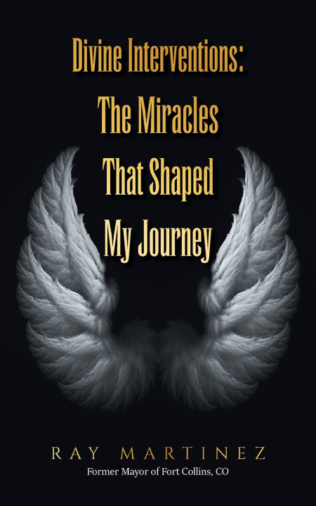 Kniha Divine Interventions Ray Martinez