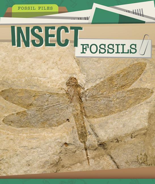 Kniha Insect Fossils Barbara M. Linde