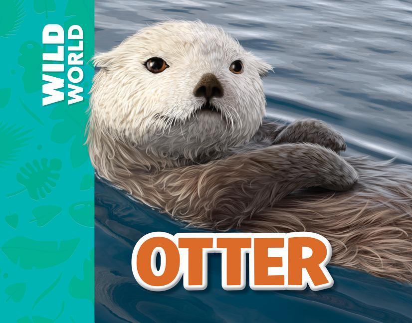 Livro Otter Meredith Costain