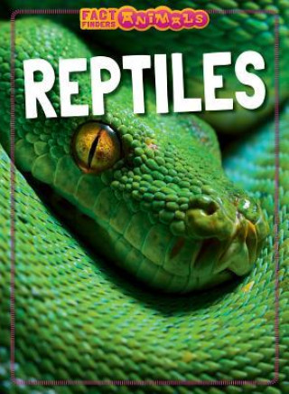 Kniha Reptiles Izzi Howell
