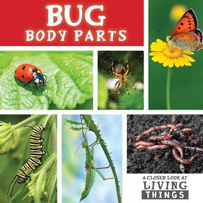 Kniha Bug Body Parts Steffi Cavell-Clarke