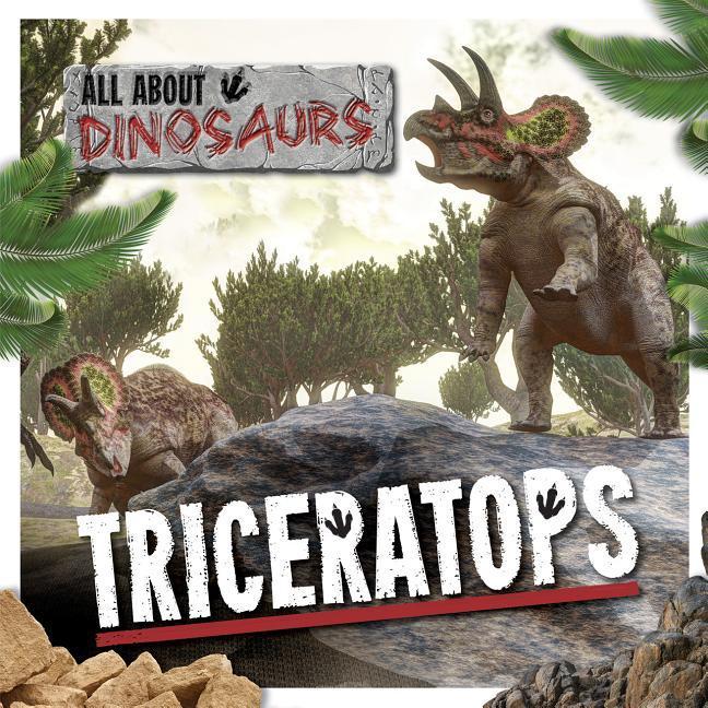 Kniha Triceratops Amy Allatson