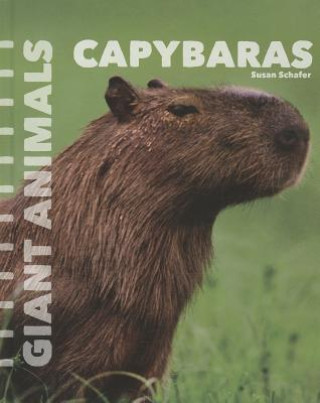 Kniha Capybaras Susan Schafer