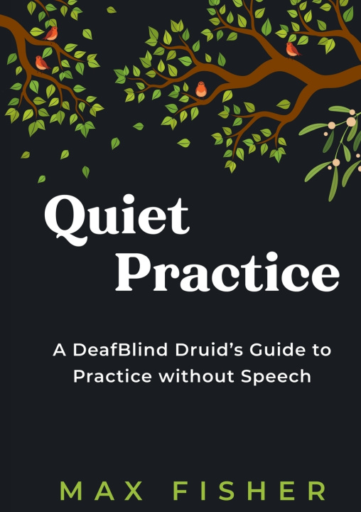 Kniha Quiet Practice Max Fisher