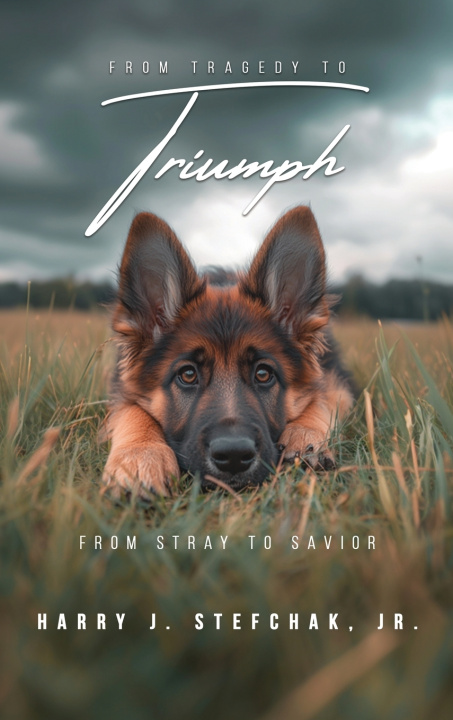 Kniha From Tragedy to Triumph Jr. Harry J. Stefchak
