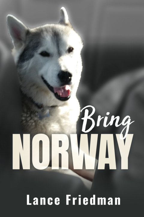 Kniha Bring Norway Lance Friedman