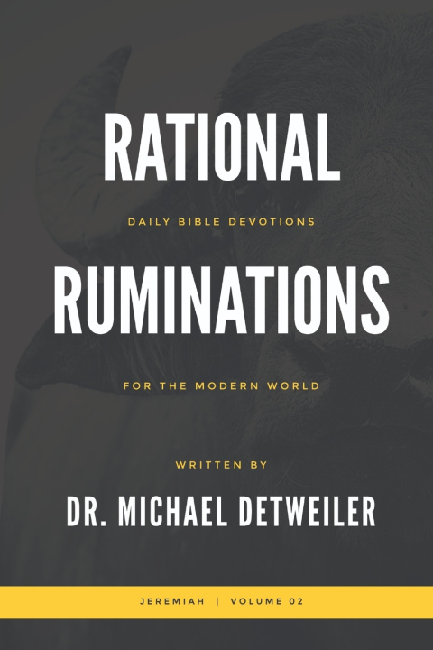 Kniha Rational Ruminations Dr. Michael Detweiler