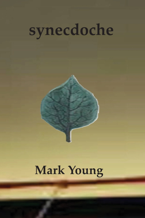 Book synecdoche Mark Young