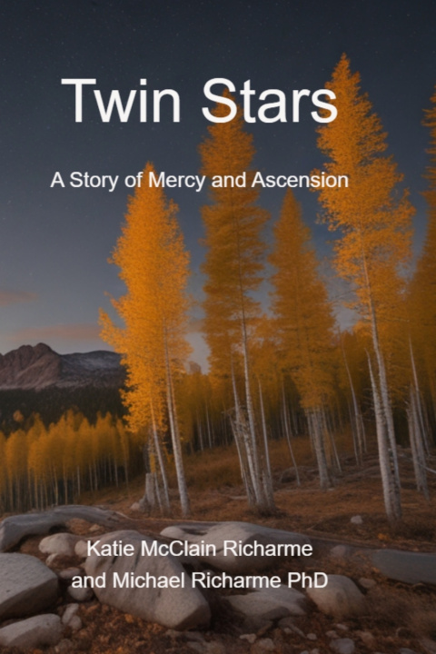 Kniha Twin Stars Katie McClain Richarme