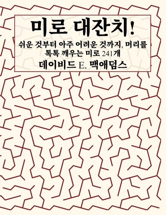 Kniha 미로 대잔치! David E. McAdams