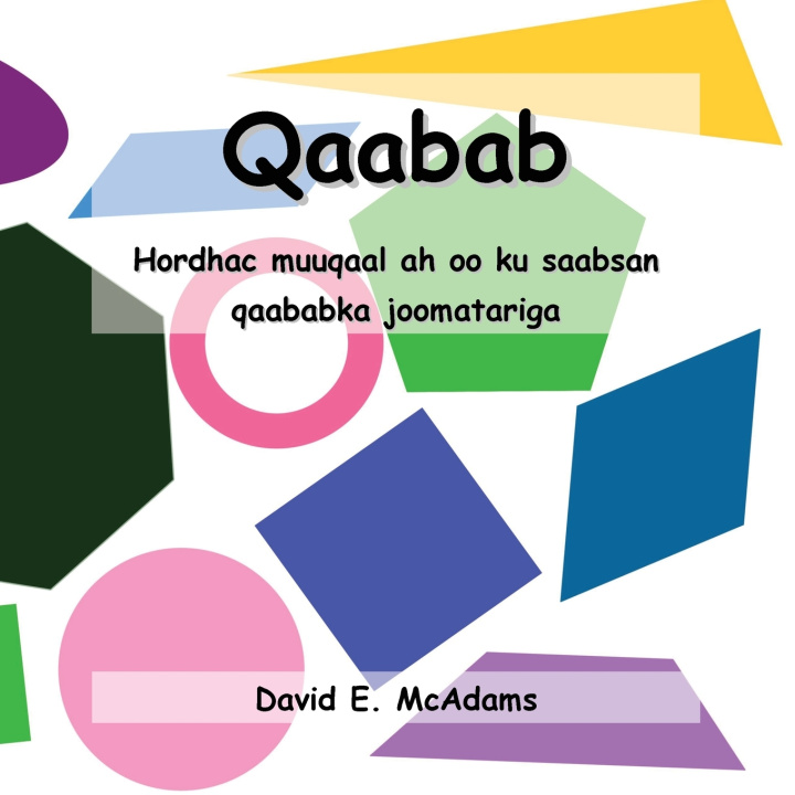 Kniha Qaabab David E. McAdams