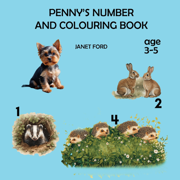 Knjiga PENNY'S NUMBER AND COLOURING BOOK JANET FORD