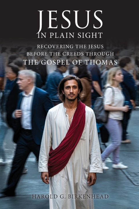 Kniha Jesus in Plain Sight Harold G. Birkenhead