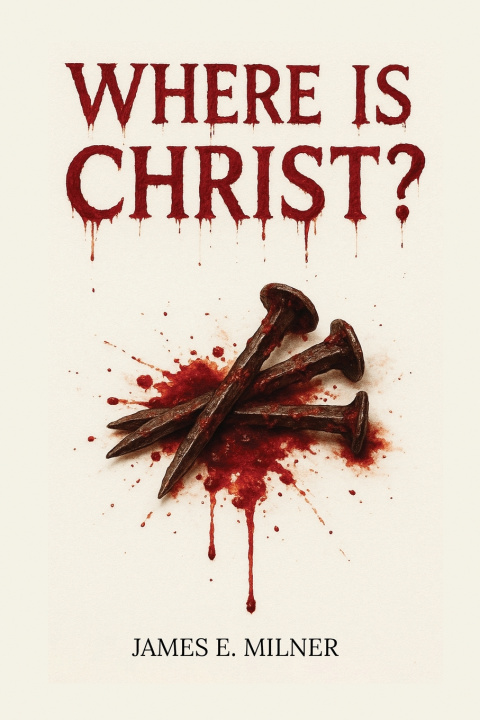 Kniha Where Is Christ? James E. Milner