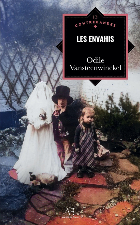 Kniha Les Envahis Vansteenwinckel