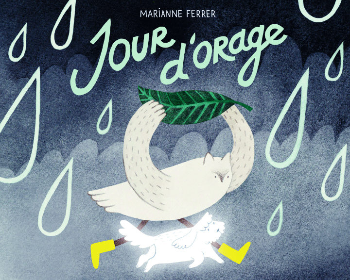 Boek Jour d'orage FERRER