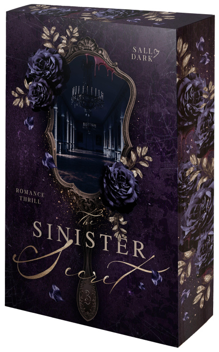 Buch The Sinister Secret Sally Dark