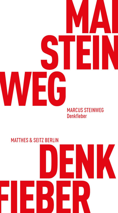 Kniha Denkfieber Marcus Steinweg