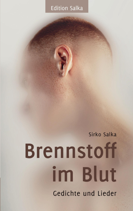 Knjiga Brennstoff im Blut 