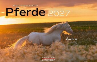 Kalendár/Diár Pferde 2027 Edyta Trojanska-Koch