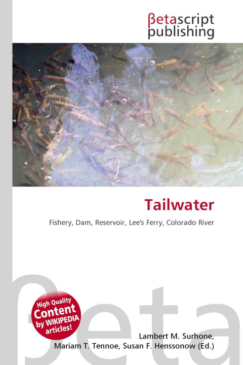 Kniha Tailwater Mariam T. Tennoe