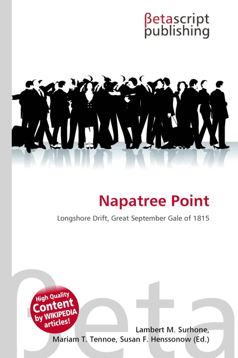Kniha Napatree Point Mariam T. Tennoe