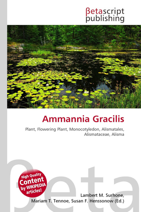 Kniha Ammannia Gracilis Mariam T. Tennoe