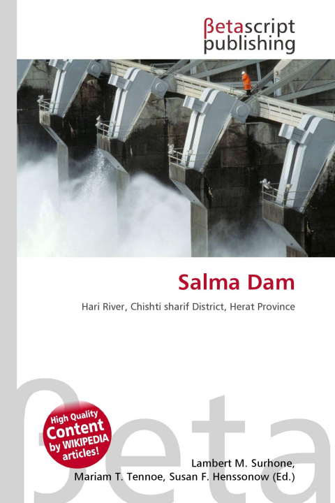 Kniha Salma Dam Mariam T. Tennoe