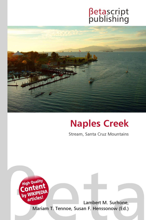 Kniha Naples Creek Mariam T. Tennoe