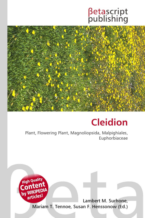 Kniha Cleidion Mariam T. Tennoe